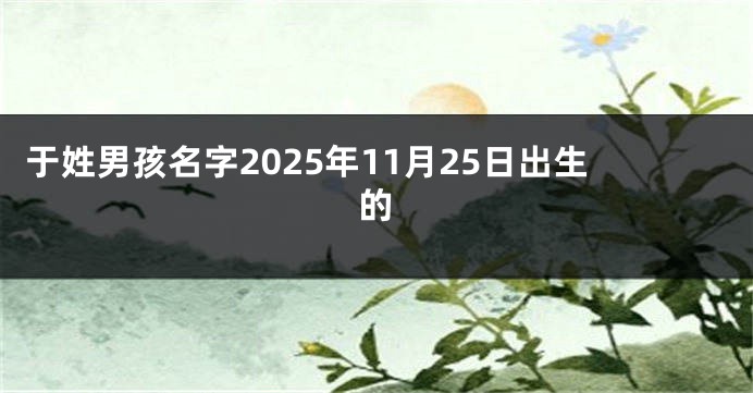 于姓男孩名字2025年11月25日出生的