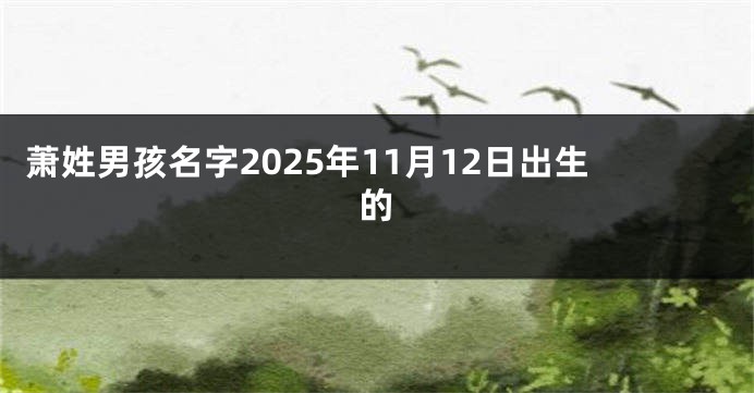 萧姓男孩名字2025年11月12日出生的