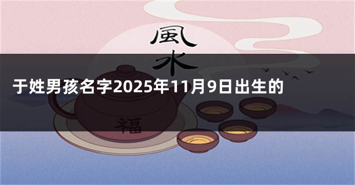 于姓男孩名字2025年11月9日出生的