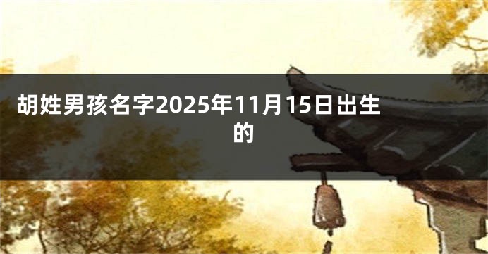 胡姓男孩名字2025年11月15日出生的