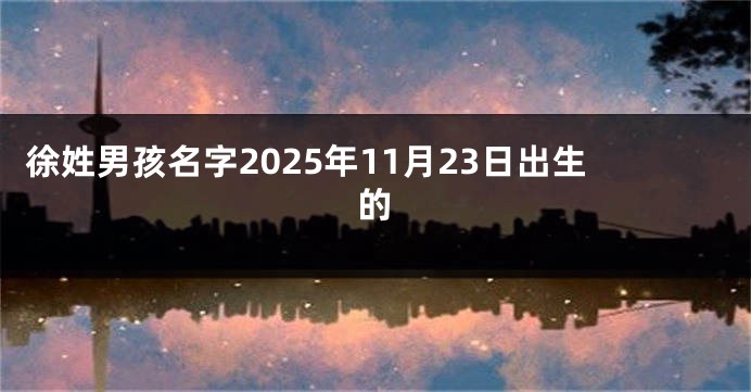 徐姓男孩名字2025年11月23日出生的
