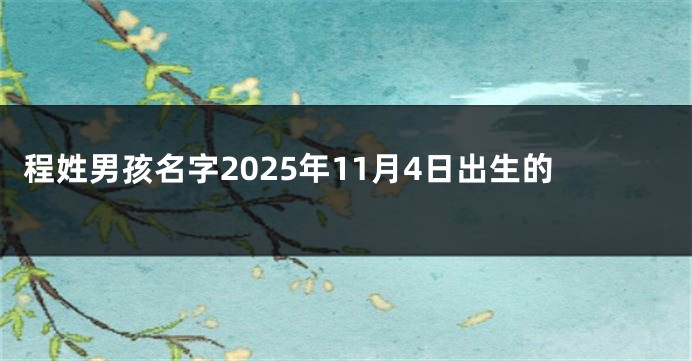 程姓男孩名字2025年11月4日出生的