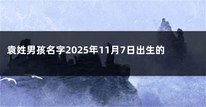 袁姓男孩名字2025年11月7日出生的