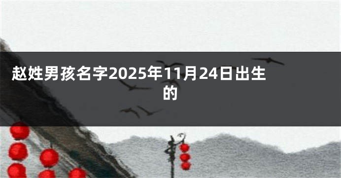 赵姓男孩名字2025年11月24日出生的