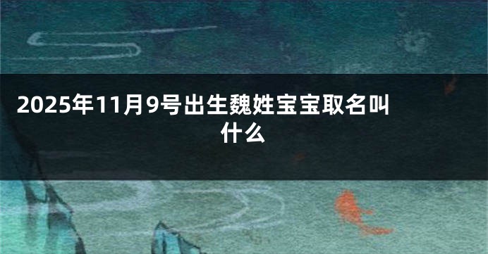 2025年11月9号出生魏姓宝宝取名叫什么