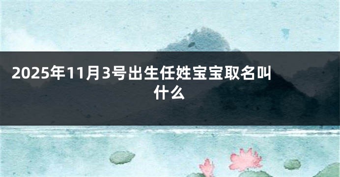 2025年11月3号出生任姓宝宝取名叫什么