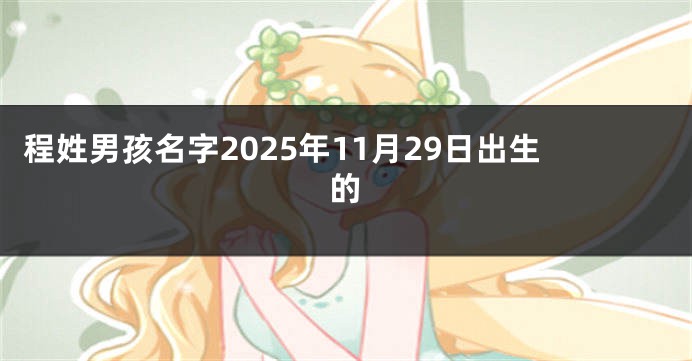 程姓男孩名字2025年11月29日出生的