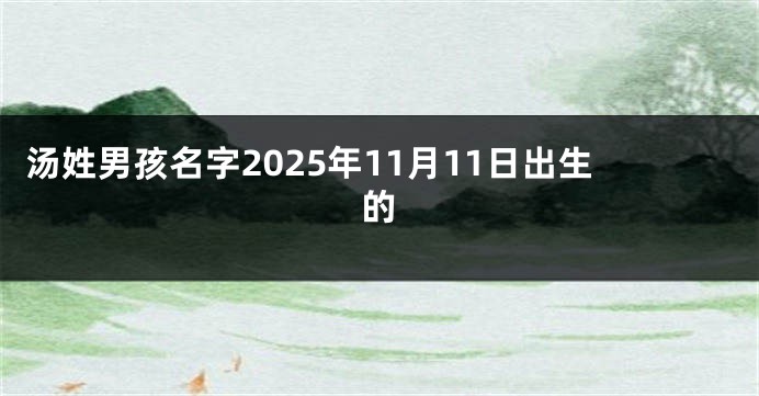 汤姓男孩名字2025年11月11日出生的
