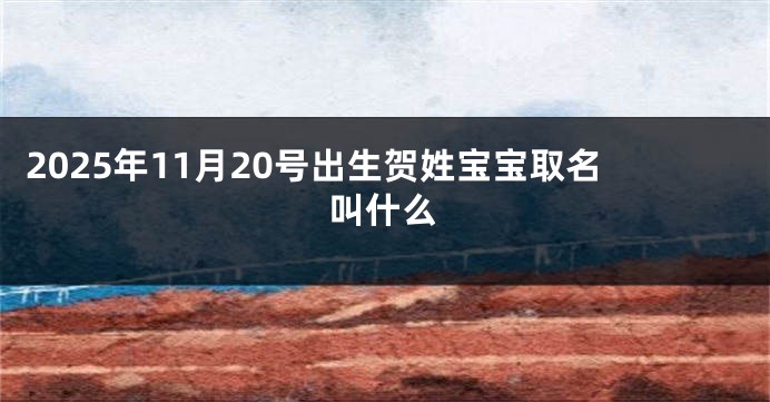 2025年11月20号出生贺姓宝宝取名叫什么