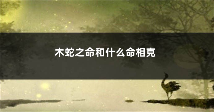 木蛇之命和什么命相克