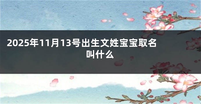 2025年11月13号出生文姓宝宝取名叫什么