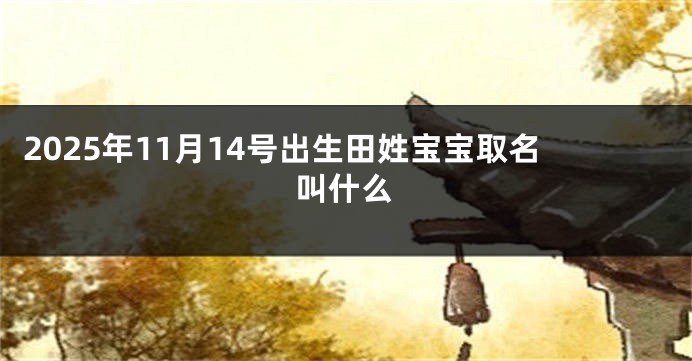 2025年11月14号出生田姓宝宝取名叫什么