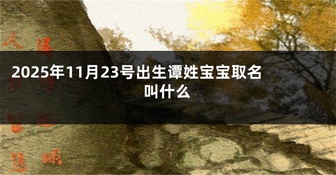 2025年11月23号出生谭姓宝宝取名叫什么