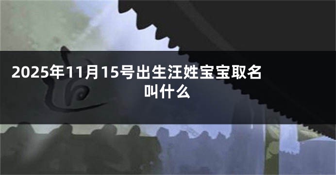2025年11月15号出生汪姓宝宝取名叫什么
