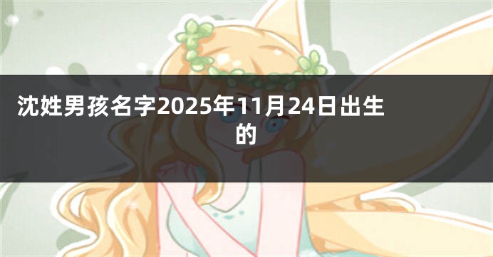 沈姓男孩名字2025年11月24日出生的