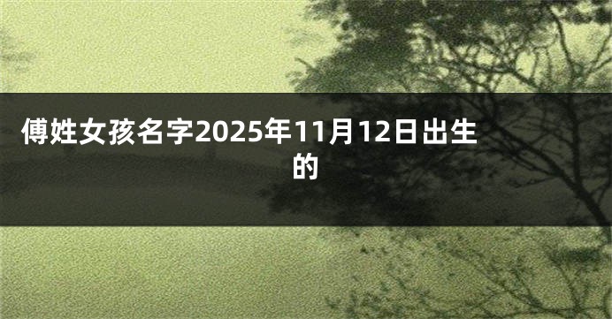 傅姓女孩名字2025年11月12日出生的