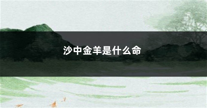 沙中金羊是什么命