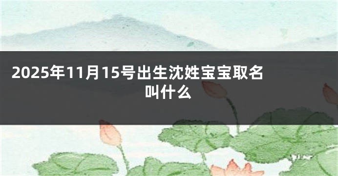 2025年11月15号出生沈姓宝宝取名叫什么