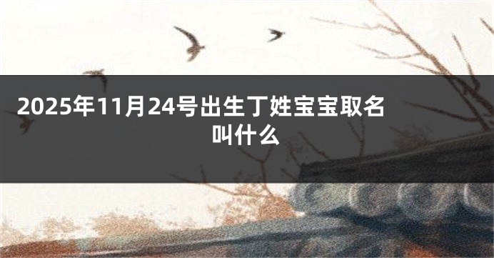 2025年11月24号出生丁姓宝宝取名叫什么