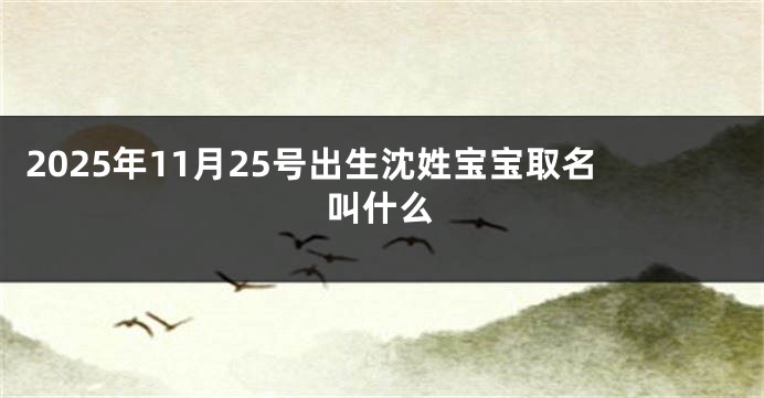 2025年11月25号出生沈姓宝宝取名叫什么