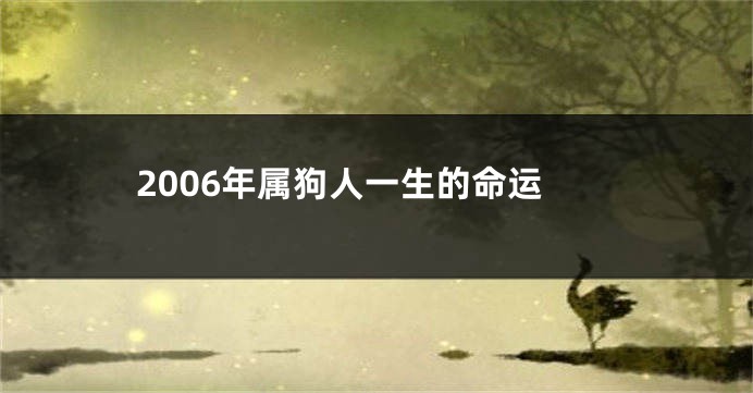 2006年属狗人一生的命运