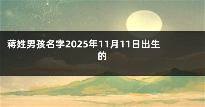 蒋姓男孩名字2025年11月11日出生的