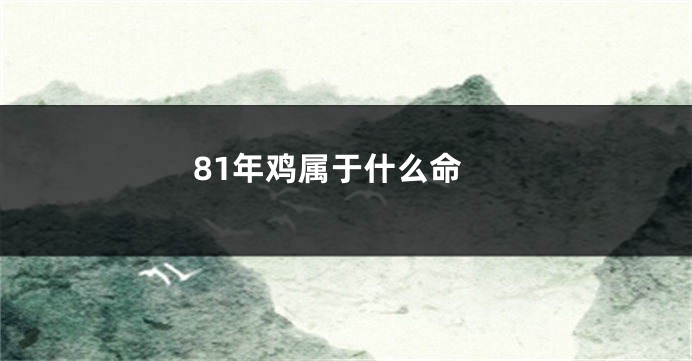 81年鸡属于什么命
