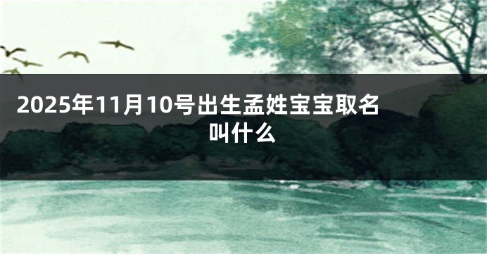 2025年11月10号出生孟姓宝宝取名叫什么
