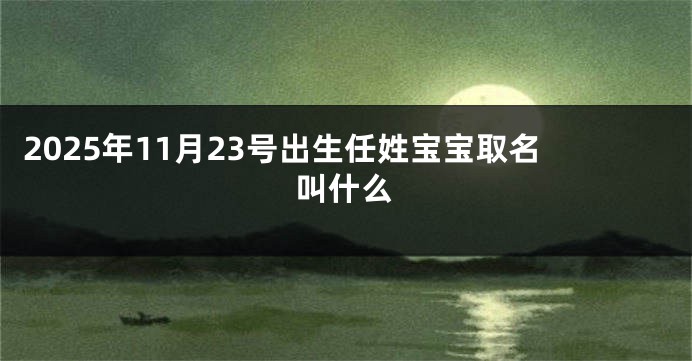 2025年11月23号出生任姓宝宝取名叫什么