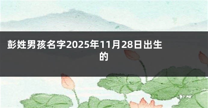 彭姓男孩名字2025年11月28日出生的