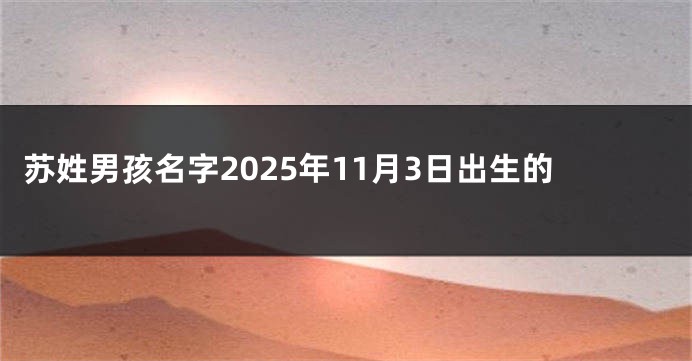 苏姓男孩名字2025年11月3日出生的