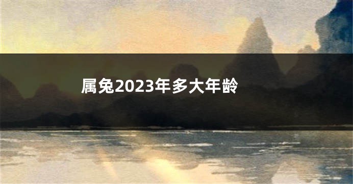 属兔2023年多大年龄