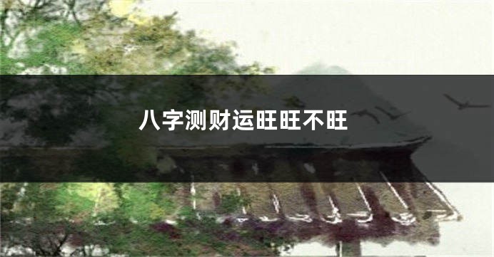 八字测财运旺旺不旺
