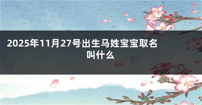 2025年11月27号出生马姓宝宝取名叫什么