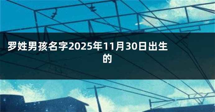 罗姓男孩名字2025年11月30日出生的
