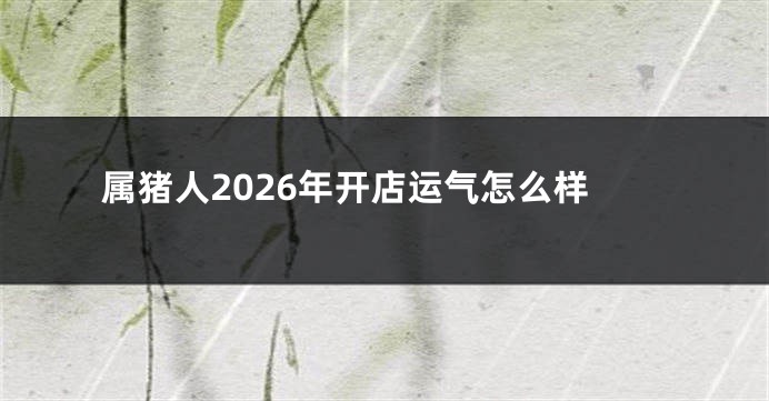 属猪人2026年开店运气怎么样