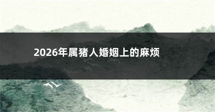 2026年属猪人婚姻上的麻烦
