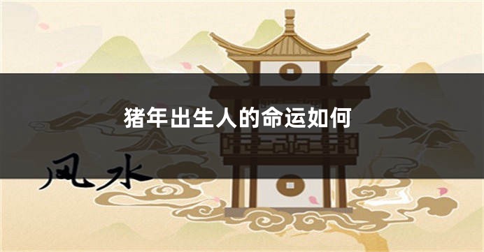 猪年出生人的命运如何