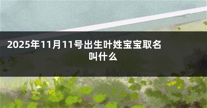 2025年11月11号出生叶姓宝宝取名叫什么