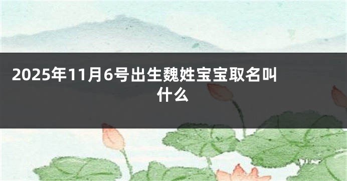 2025年11月6号出生魏姓宝宝取名叫什么