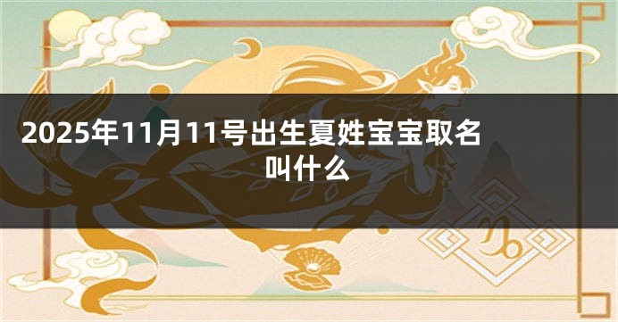 2025年11月11号出生夏姓宝宝取名叫什么