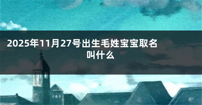 2025年11月27号出生毛姓宝宝取名叫什么