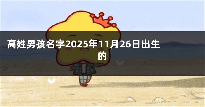 高姓男孩名字2025年11月26日出生的