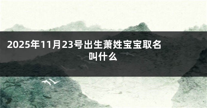 2025年11月23号出生萧姓宝宝取名叫什么