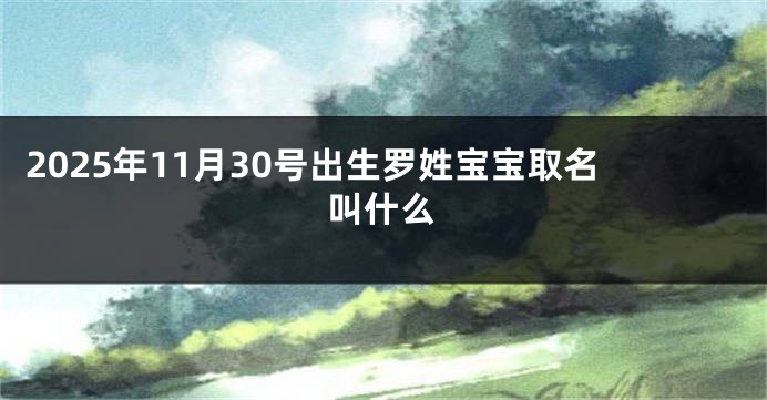 2025年11月30号出生罗姓宝宝取名叫什么