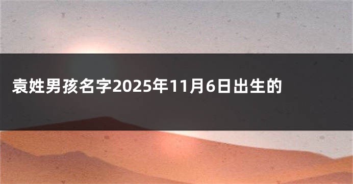 袁姓男孩名字2025年11月6日出生的
