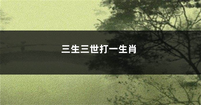 三生三世打一生肖