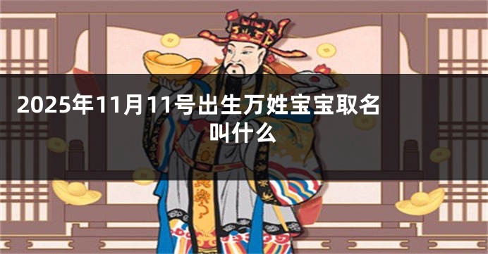 2025年11月11号出生万姓宝宝取名叫什么