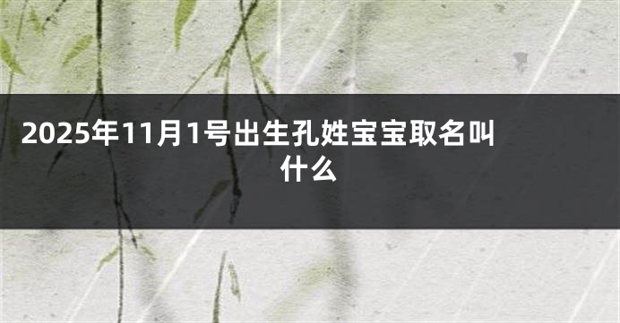 2025年11月1号出生孔姓宝宝取名叫什么