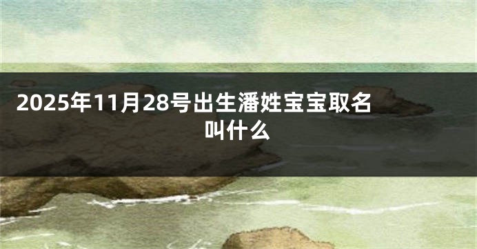 2025年11月28号出生潘姓宝宝取名叫什么